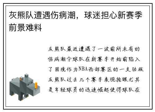 灰熊队遭遇伤病潮，球迷担心新赛季前景难料