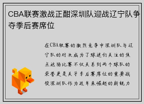 CBA联赛激战正酣深圳队迎战辽宁队争夺季后赛席位